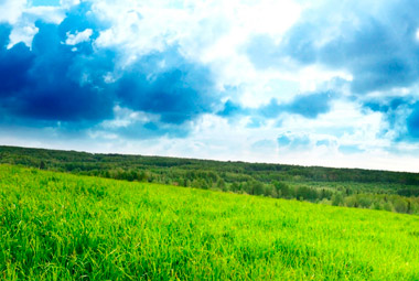 规划环境影响评价条例